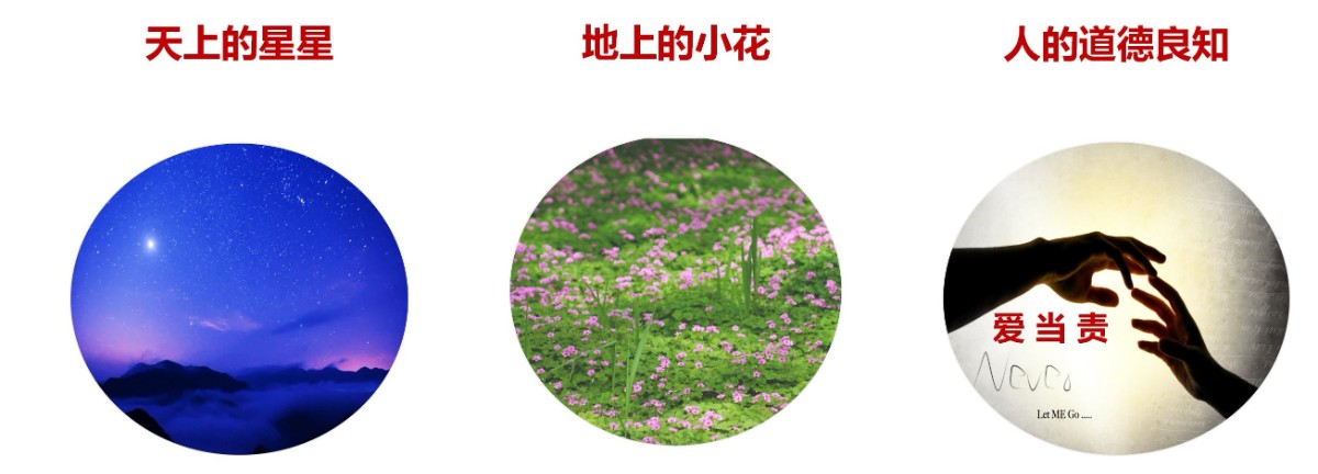 LED照明人如何實(shí)現(xiàn)碳中和、碳達(dá)峰(11.17)_53